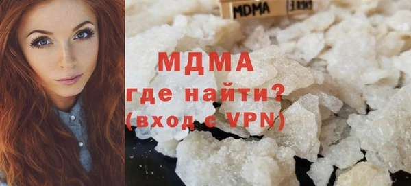 хмурый Аркадак