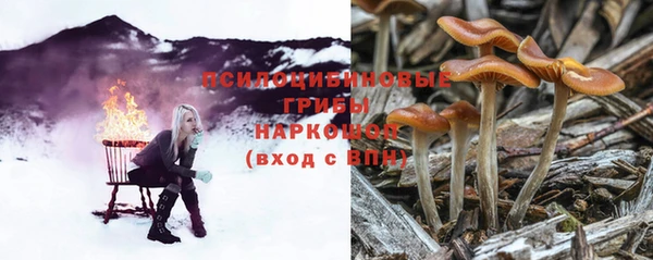 винт Инсар