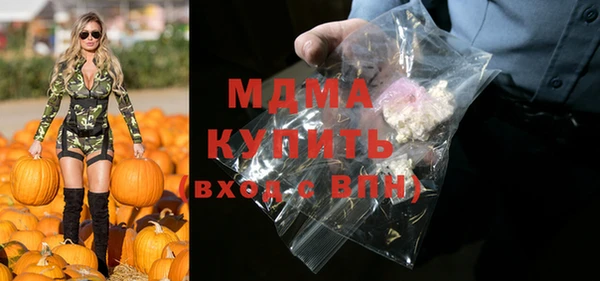 хмурый Аркадак